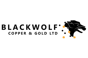 Blackwolf Copper and Gold